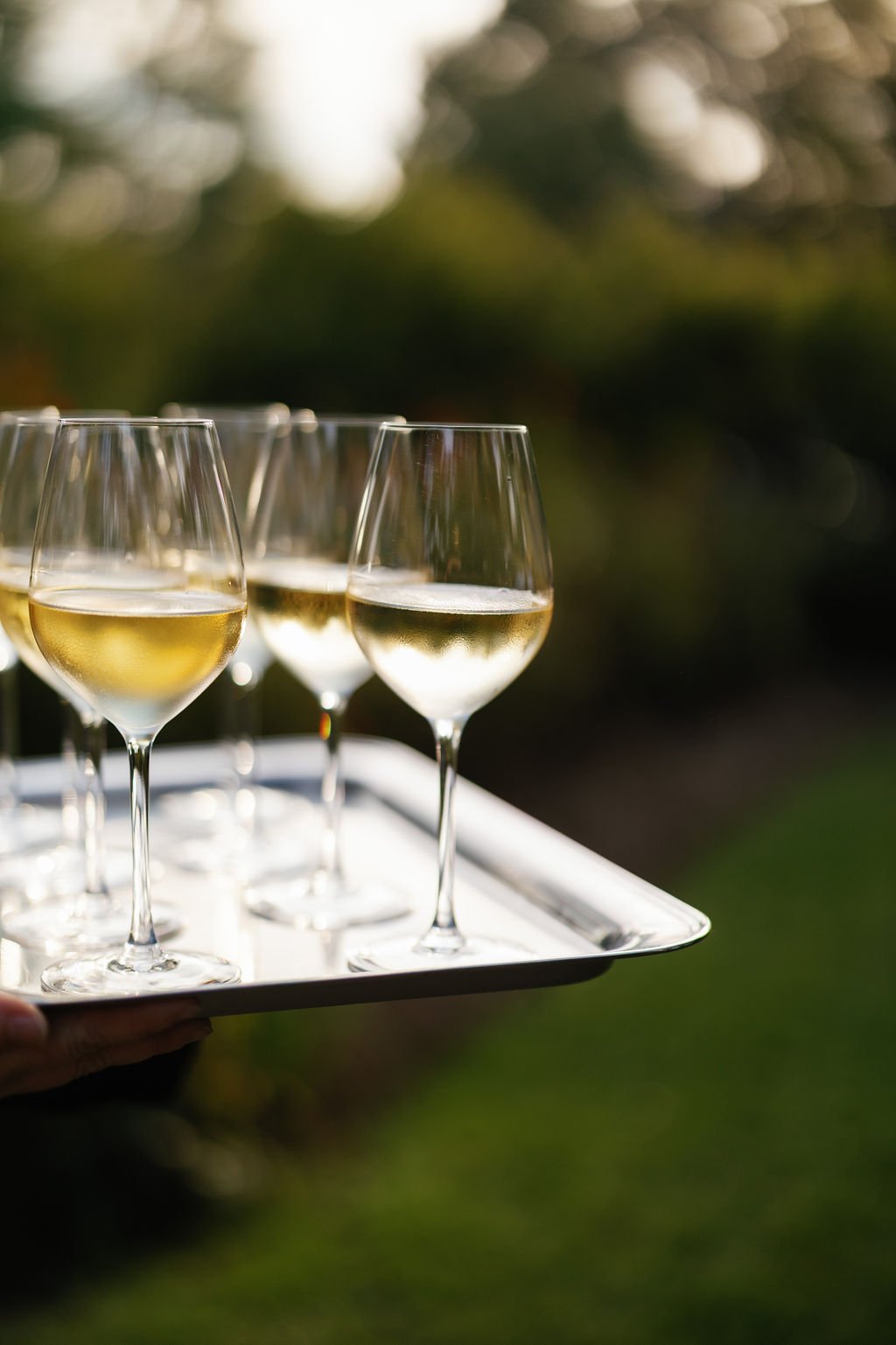 Chef-prepared dish from Clementine Catering